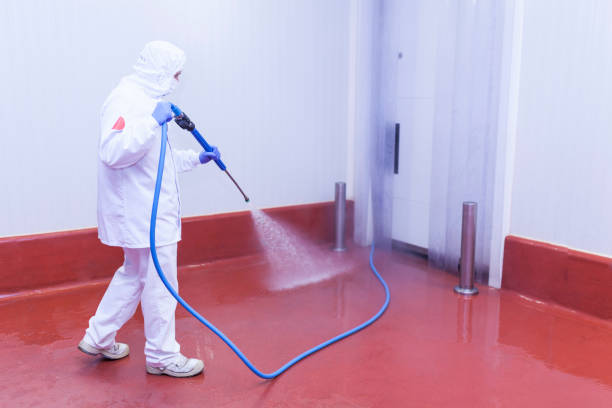 Best Solar Panel Cleaning  in Westlake, TX